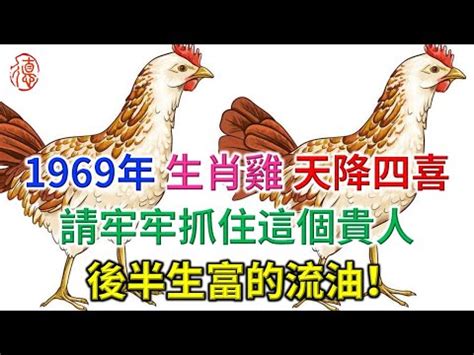 雞屬五行|生肖雞的五行？不同屬性的屬雞人的性格有什麼不同？。